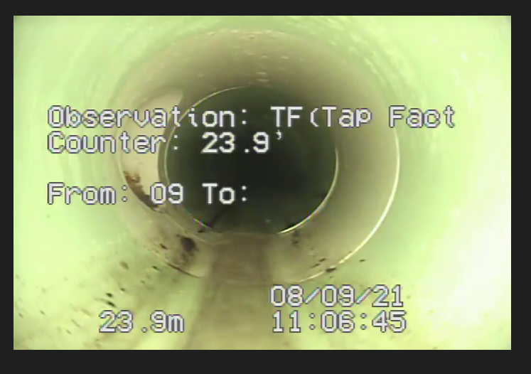 DNV video type 1