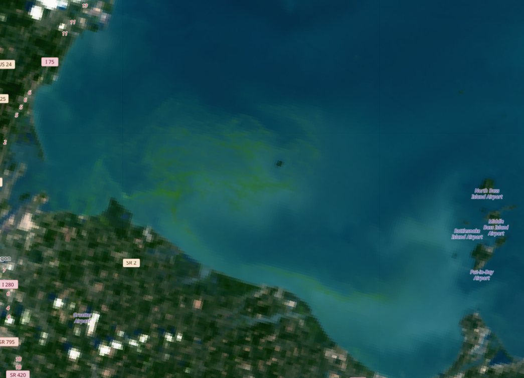 HAB in Lake Erie, August 13, 2024