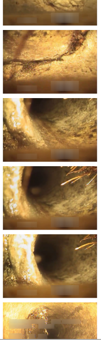 no label with threshold=0.4 3/3